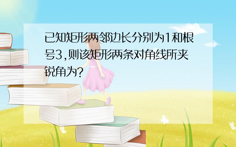 已知矩形两邻边长分别为1和根号3,则该矩形两条对角线所夹锐角为?