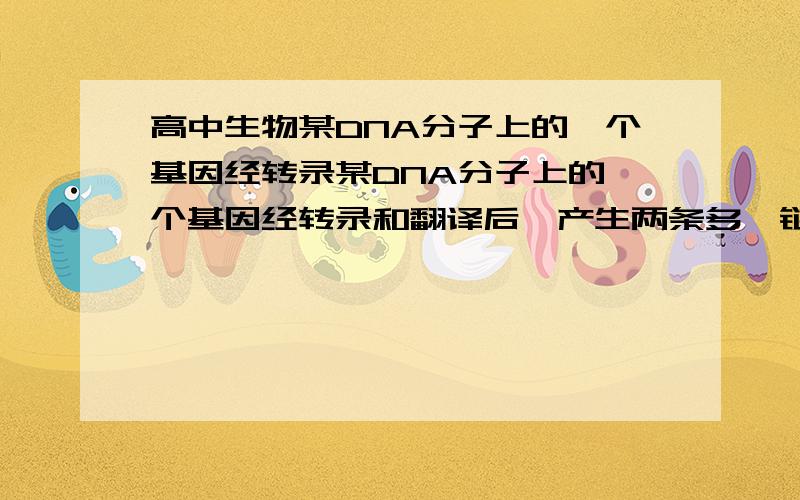 高中生物某DNA分子上的一个基因经转录某DNA分子上的一个基因经转录和翻译后,产生两条多肽链共含肽键1999个,则该基因所含的碱基数(A)A,12006B,11994C,5997D,6003