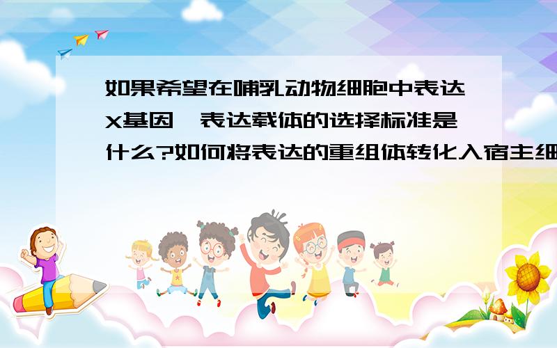 如果希望在哺乳动物细胞中表达X基因,表达载体的选择标准是什么?如何将表达的重组体转化入宿主细胞?如何检测是否转化?