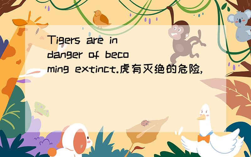 Tigers are in danger of becoming extinct.虎有灭绝的危险,