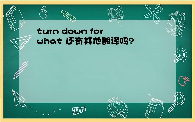 turn down for what 还有其他翻译吗?