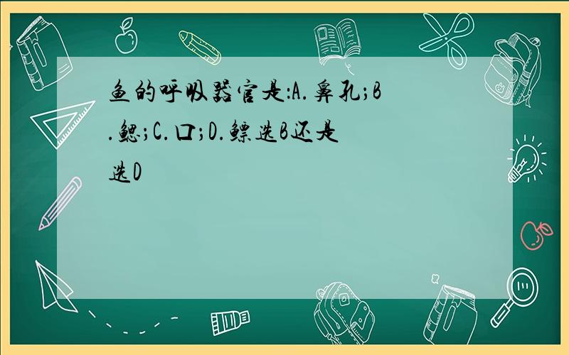 鱼的呼吸器官是：A.鼻孔；B.鳃；C.口；D.鳔选B还是选D