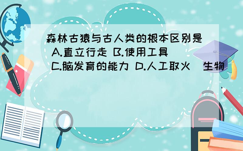 森林古猿与古人类的根本区别是 A.直立行走 B.使用工具 C.脑发育的能力 D.人工取火（生物）