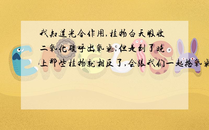 我知道光合作用,植物白天吸收二氧化碳呼出氧气,但是到了晚上那些植物就相反了,会跟我们一起抢氧气,那晚上的氧气是哪里来的,为什么觉得晚上的空气比白天还好一点?