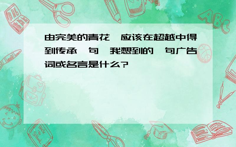 由完美的青花,应该在超越中得到传承一句,我想到的一句广告词或名言是什么?