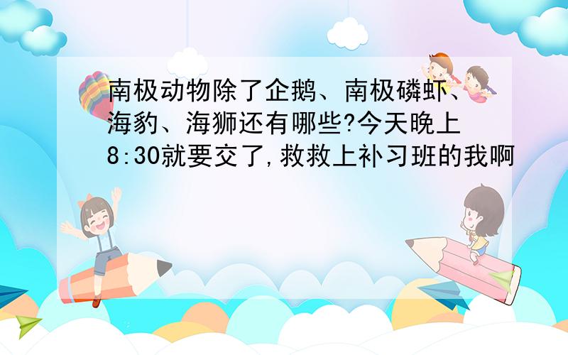 南极动物除了企鹅、南极磷虾、海豹、海狮还有哪些?今天晚上8:30就要交了,救救上补习班的我啊