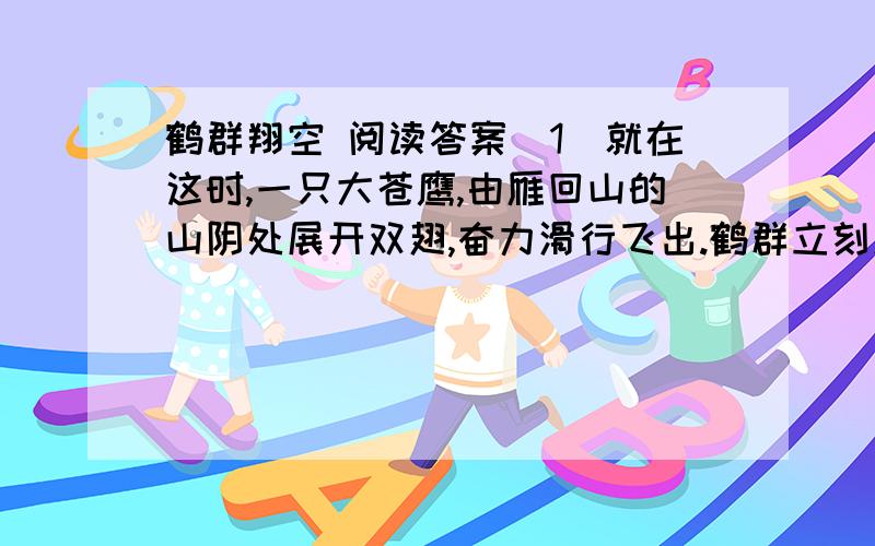 鹤群翔空 阅读答案（1）就在这时,一只大苍鹰,由雁回山的山阴处展开双翅,奋力滑行飞出.鹤群立刻发出嘹亮的“哦哦哦”的啼鸣声.这大概是因为发现可怕的苍鹰便互相报警,彼此关照.（2）苍