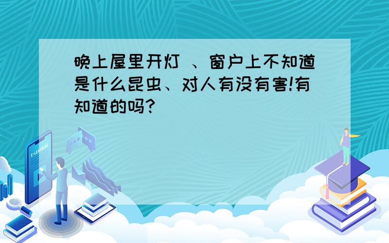 晚上屋里开灯 、窗户上不知道是什么昆虫、对人有没有害!有知道的吗?