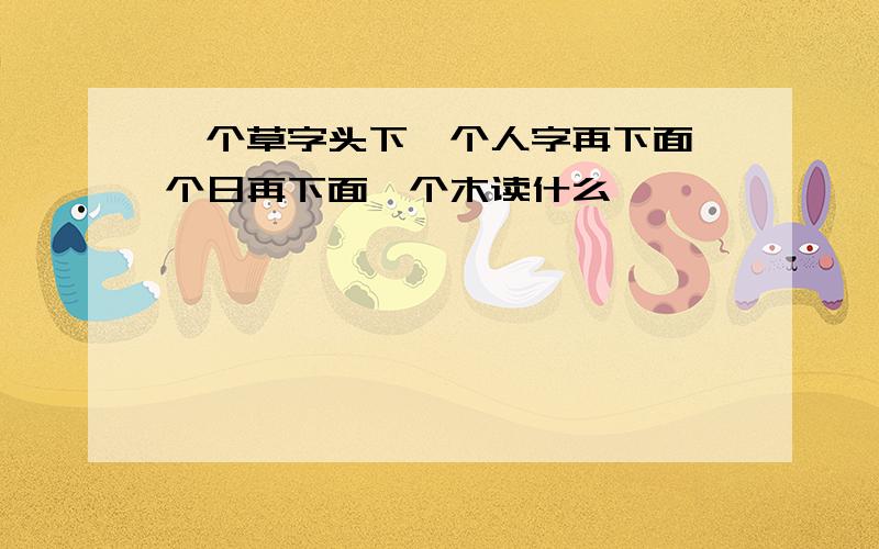 一个草字头下一个人字再下面一个日再下面一个木读什么