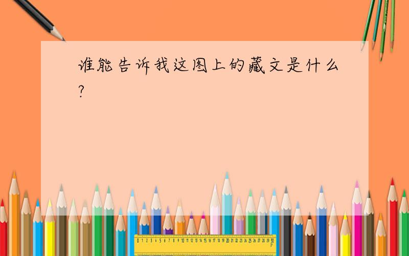 谁能告诉我这图上的藏文是什么?