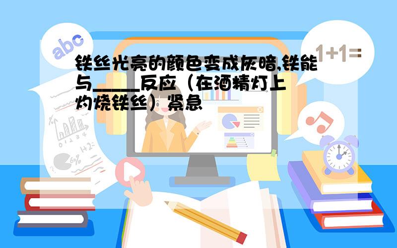 铁丝光亮的颜色变成灰暗,铁能与_____反应（在酒精灯上灼烧铁丝）紧急