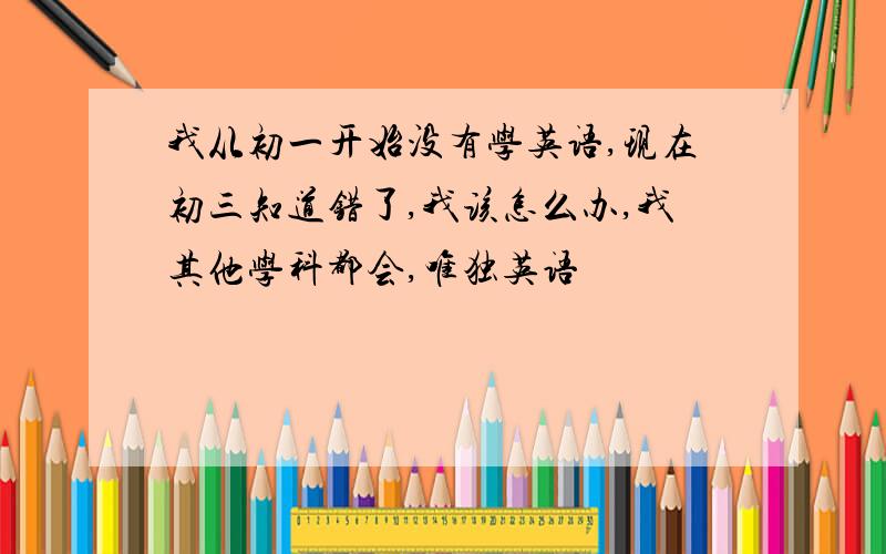 我从初一开始没有学英语,现在初三知道错了,我该怎么办,我其他学科都会,唯独英语