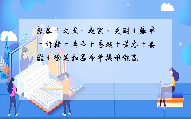 颜良+文丑+赵云+关羽+张飞+许褚+典韦+马超+黄忠+姜维+徐晃和吕布单挑谁能赢