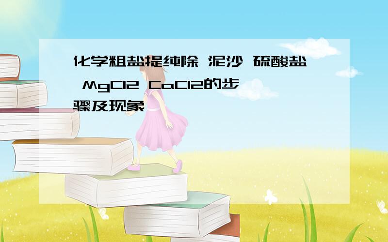 化学粗盐提纯除 泥沙 硫酸盐 MgCl2 CaCl2的步骤及现象