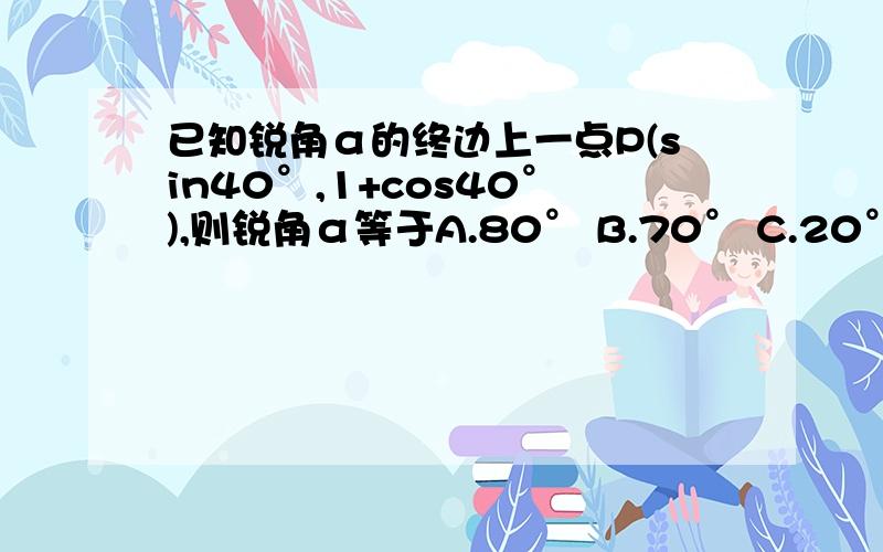 已知锐角α的终边上一点P(sin40°,1+cos40°),则锐角α等于A.80° B.70° C.20° D.10°