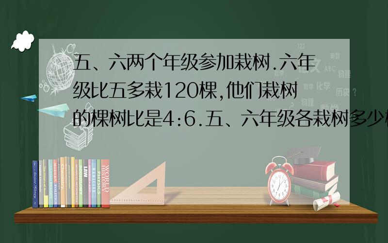 五、六两个年级参加栽树.六年级比五多栽120棵,他们栽树的棵树比是4:6.五、六年级各栽树多少棵?五、六两个年级参加栽树.他们栽树的棵树比是4:6.五、六年级各栽树多少棵?