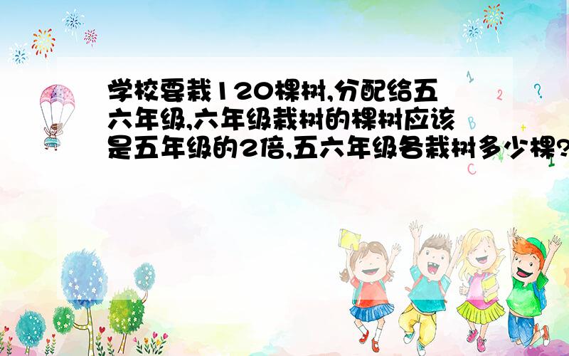 学校要栽120棵树,分配给五六年级,六年级栽树的棵树应该是五年级的2倍,五六年级各栽树多少棵?