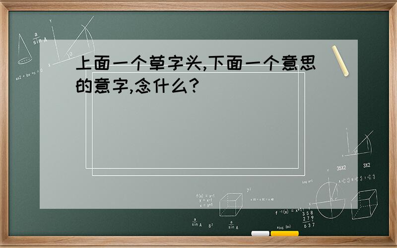 上面一个草字头,下面一个意思的意字,念什么?