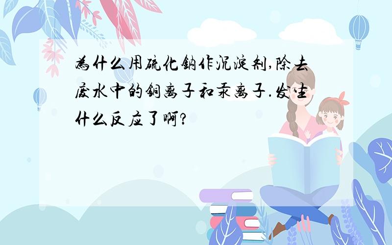 为什么用硫化钠作沉淀剂,除去废水中的铜离子和汞离子.发生什么反应了啊?