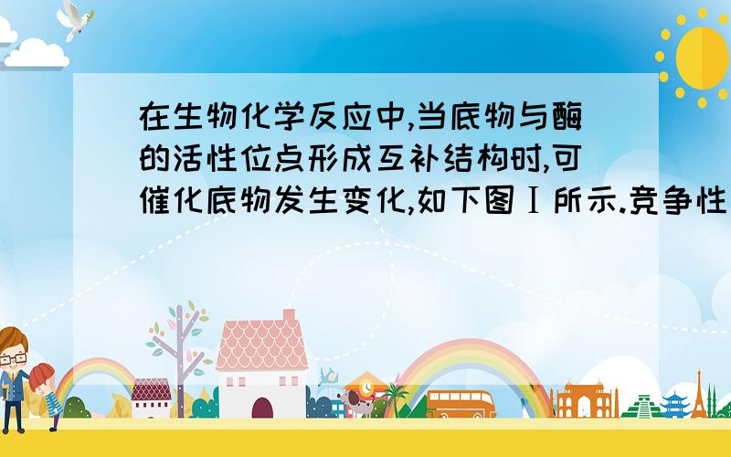 在生物化学反应中,当底物与酶的活性位点形成互补结构时,可催化底物发生变化,如下图Ⅰ所示.竞争性抑制剂与底物竞争酶的活性位点,非竞争性抑制剂和酶活性位点以外的其他位点结合,从而