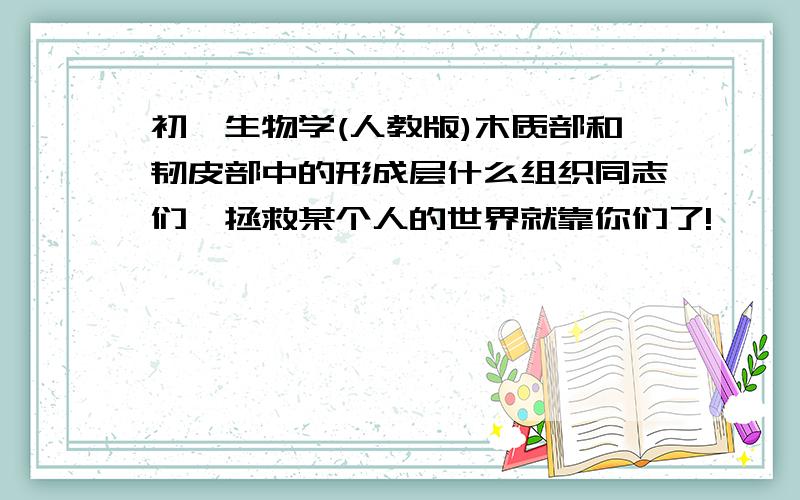 初一生物学(人教版)木质部和韧皮部中的形成层什么组织同志们,拯救某个人的世界就靠你们了!