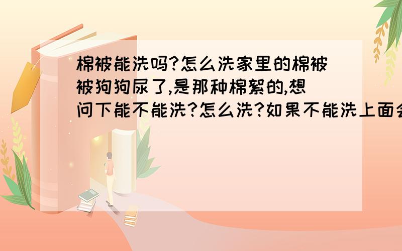 棉被能洗吗?怎么洗家里的棉被被狗狗尿了,是那种棉絮的,想问下能不能洗?怎么洗?如果不能洗上面会有狗尿的味儿,怎么能去除?棉被还能不能要?