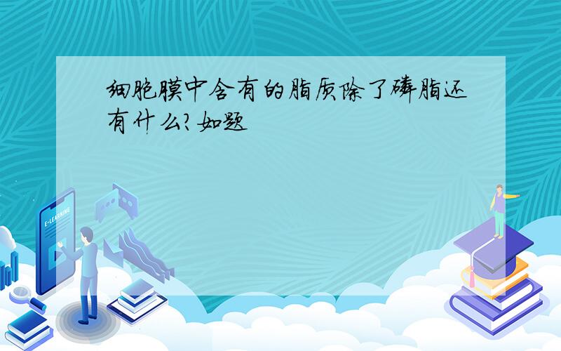 细胞膜中含有的脂质除了磷脂还有什么?如题