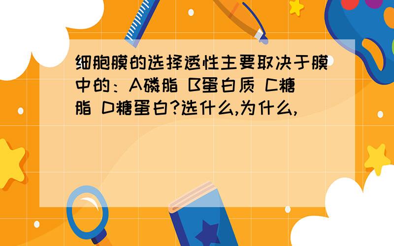 细胞膜的选择透性主要取决于膜中的：A磷脂 B蛋白质 C糖脂 D糖蛋白?选什么,为什么,