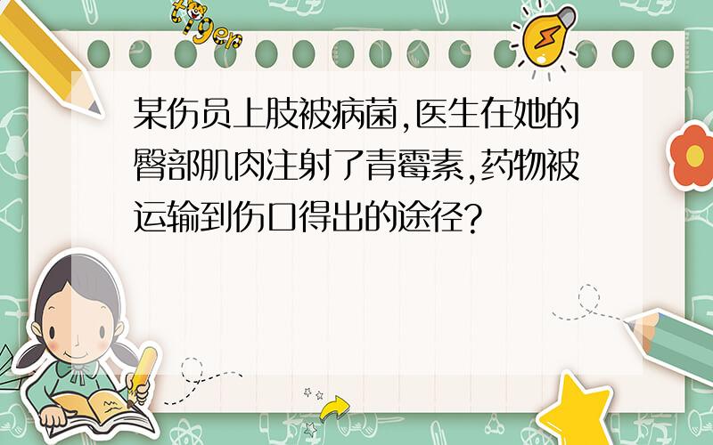 某伤员上肢被病菌,医生在她的臀部肌肉注射了青霉素,药物被运输到伤口得出的途径?