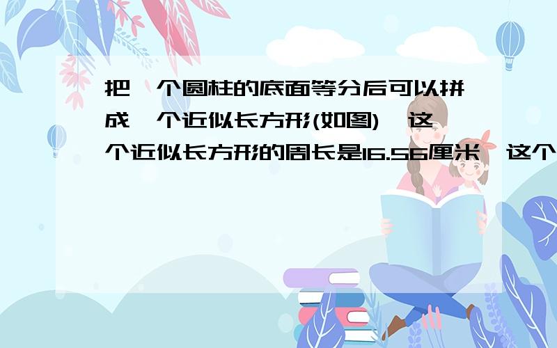 把一个圆柱的底面等分后可以拼成一个近似长方形(如图),这个近似长方形的周长是16.56厘米,这个圆柱的底面积是多少平方厘米