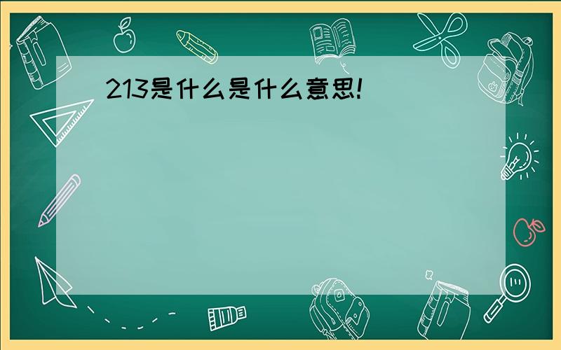 213是什么是什么意思!