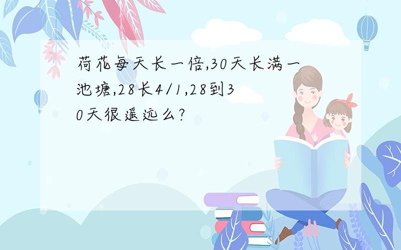 荷花每天长一倍,30天长满一池塘,28长4/1,28到30天很遥远么?