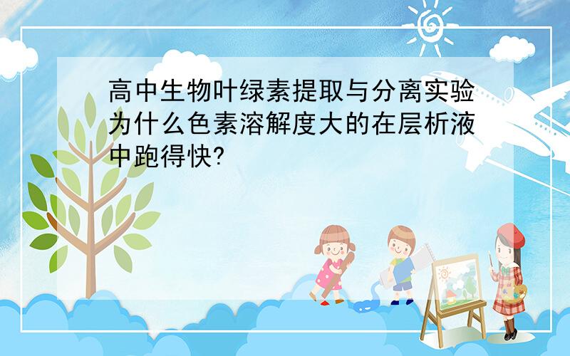 高中生物叶绿素提取与分离实验为什么色素溶解度大的在层析液中跑得快?