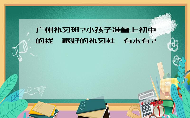 广州补习班?小孩子准备上初中的找一家好的补习社,有木有?