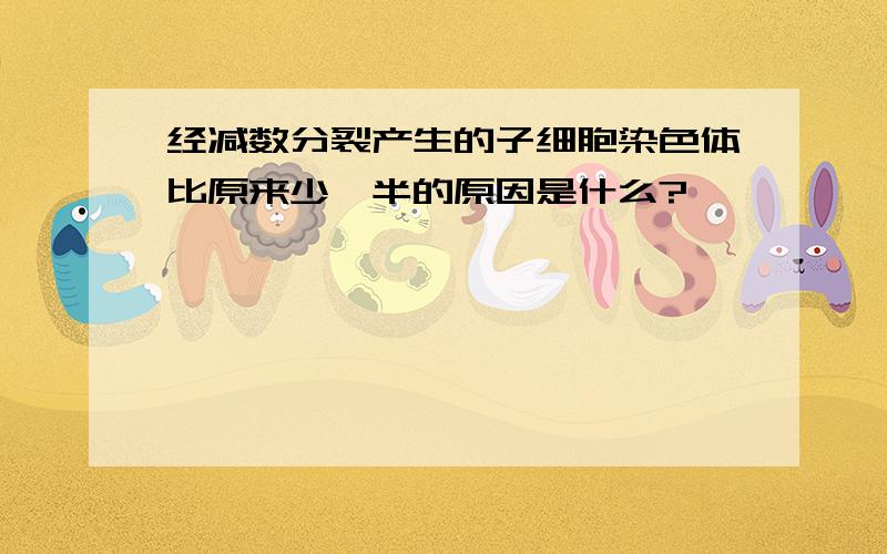 经减数分裂产生的子细胞染色体比原来少一半的原因是什么?