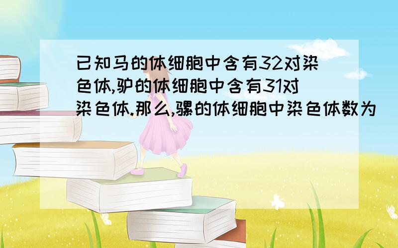 已知马的体细胞中含有32对染色体,驴的体细胞中含有31对染色体.那么,骡的体细胞中染色体数为（ ）A．126条 B. 62条 C. 63条 D. 64条