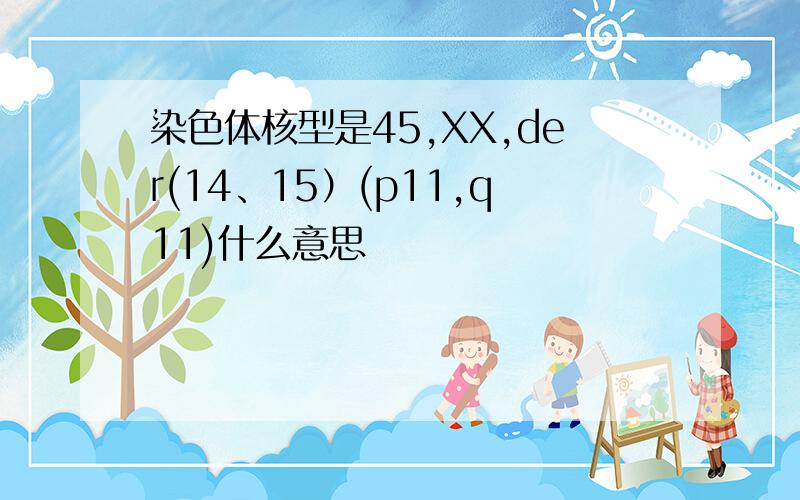 染色体核型是45,XX,der(14、15）(p11,q11)什么意思