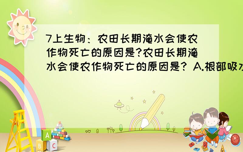 7上生物：农田长期淹水会使农作物死亡的原因是?农田长期淹水会使农作物死亡的原因是? A.根部吸水太多 B.光合作用太弱 C.根部缺少氧气 D.呼吸作用太强