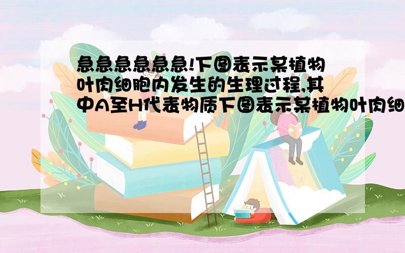 急急急急急急!下图表示某植物叶肉细胞内发生的生理过程,其中A至H代表物质下图表示某植物叶肉细胞内发生的生理过程,其中A至H代表物质(4)将生理状况相同的该植物叶片分成四等份,在不同