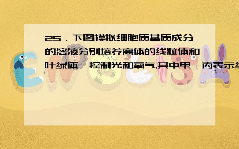 25．下图模拟细胞质基质成分的溶液分别培养离体的线粒体和叶绿体,控制光和氧气.其中甲、丙表示线粒体,乙、丁表示叶绿体,甲、乙有光照但不供氧气,丙、丁有氧气但处于黑暗中.一段时间