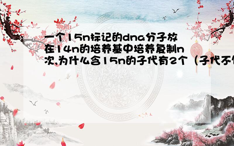 一个15n标记的dna分子放在14n的培养基中培养复制n次,为什么含15n的子代有2个（子代不包括放进培养基的那个吧?）