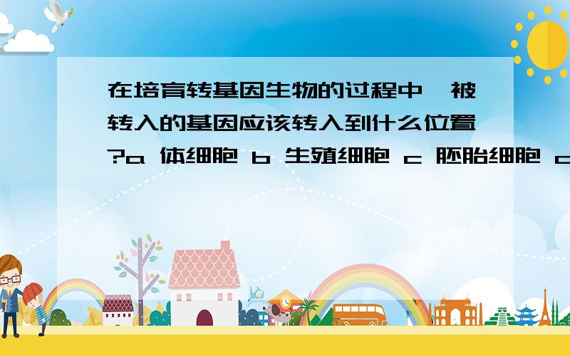 在培育转基因生物的过程中,被转入的基因应该转入到什么位置?a 体细胞 b 生殖细胞 c 胚胎细胞 d 受精卵 对这道题很疑惑 请尽快回答啊!说出理由