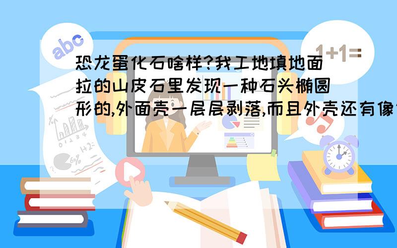 恐龙蛋化石啥样?我工地填地面拉的山皮石里发现一种石头椭圆形的,外面壳一层层剥落,而且外壳还有像气孔似的有小孔,剥到最后是一个核比鹅蛋大,而且颜色变成像青石色,用锤子砸开看着像