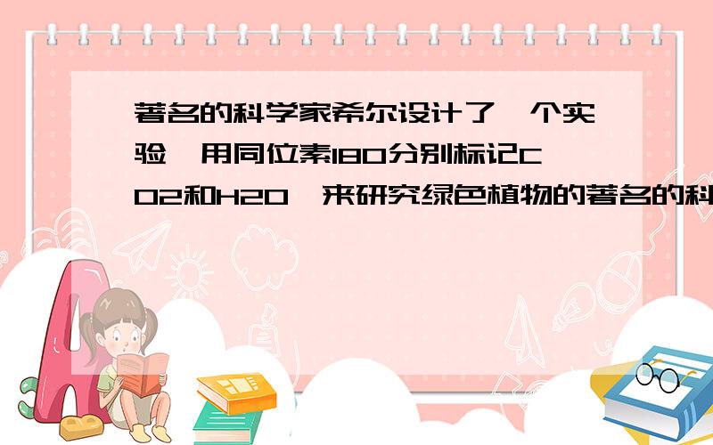 著名的科学家希尔设计了一个实验,用同位素18O分别标记CO2和H2O,来研究绿色植物的著名的科学家希尔设计了一个实验,用同位素18O分别标记CO2和H2O,来研究绿色植物的光反应过程.他的实验示意