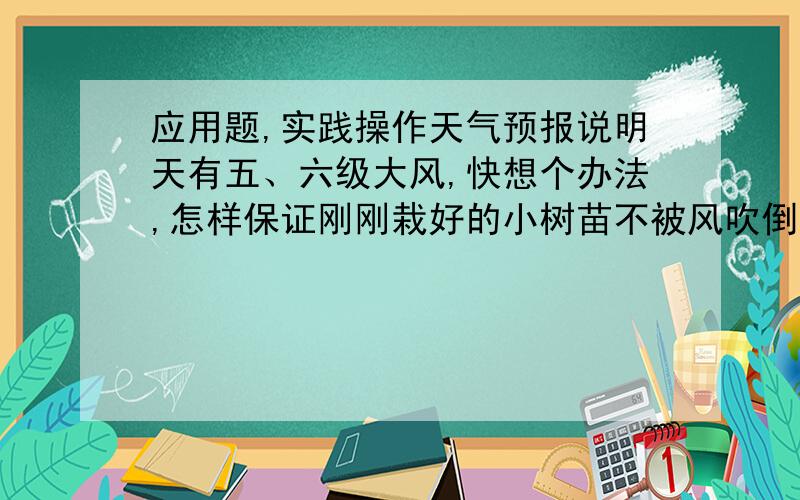 应用题,实践操作天气预报说明天有五、六级大风,快想个办法,怎样保证刚刚栽好的小树苗不被风吹倒