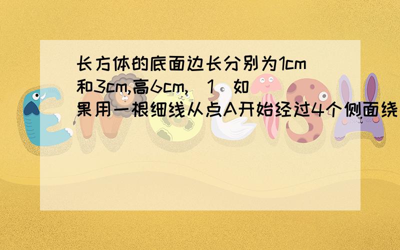 长方体的底面边长分别为1cm和3cm,高6cm,(1)如果用一根细线从点A开始经过4个侧面绕一圈到达点B,那么所用细线最短需要多长?(2)如果从点A 开始经过4个侧面缠绕3圈到达点B,那么所用细线最短需要