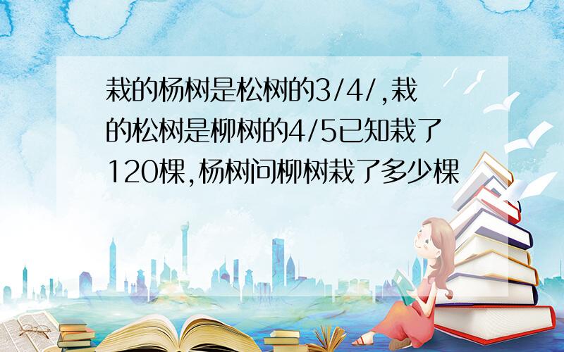 栽的杨树是松树的3/4/,栽的松树是柳树的4/5已知栽了120棵,杨树问柳树栽了多少棵