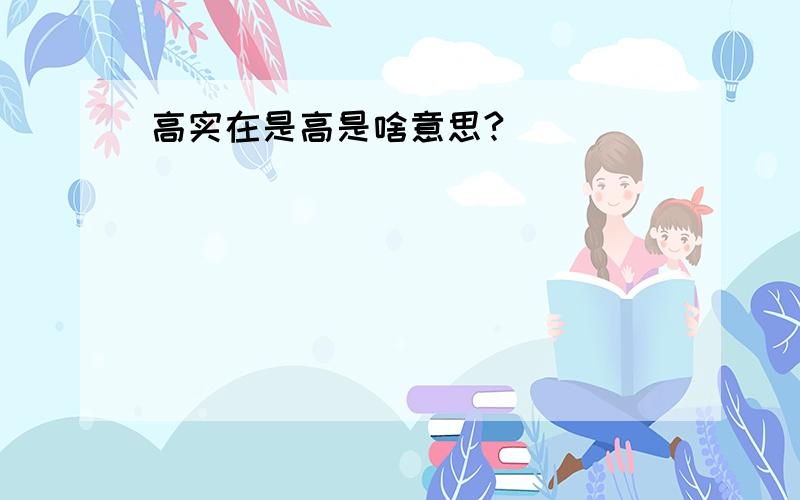 高实在是高是啥意思?