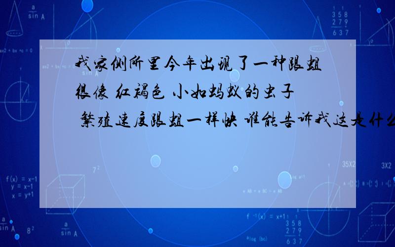 我家侧所里今年出现了一种跟蛆很像 红褐色 小如蚂蚁的虫子 繁殖速度跟蛆一样快 谁能告诉我这是什么虫子 咋怎么杀灭它们并防止其再次繁殖呢?