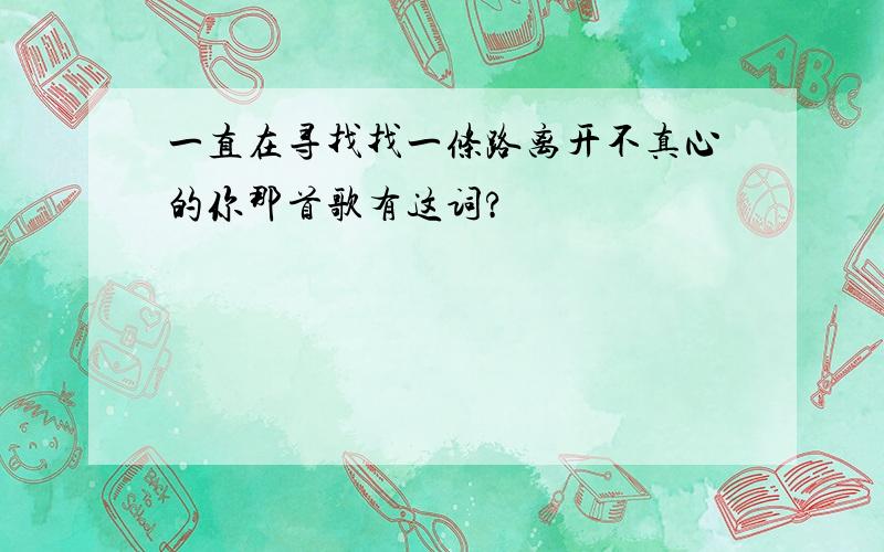 一直在寻找找一条路离开不真心的你那首歌有这词?